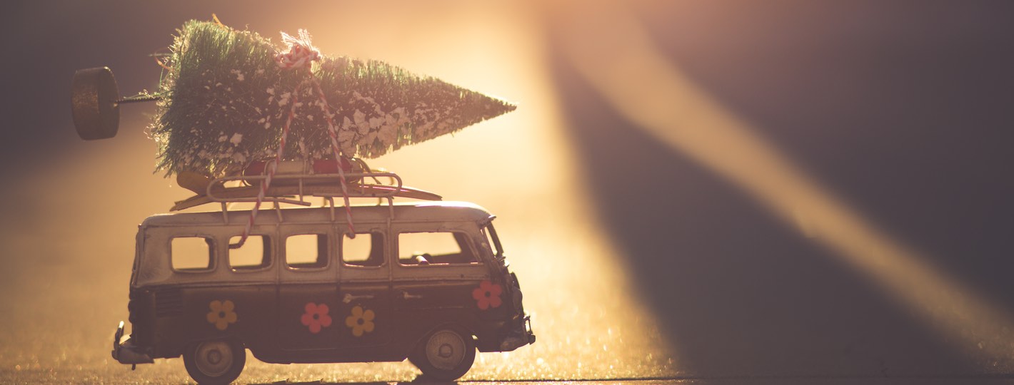 Photo by Denise Johnson on Unsplash