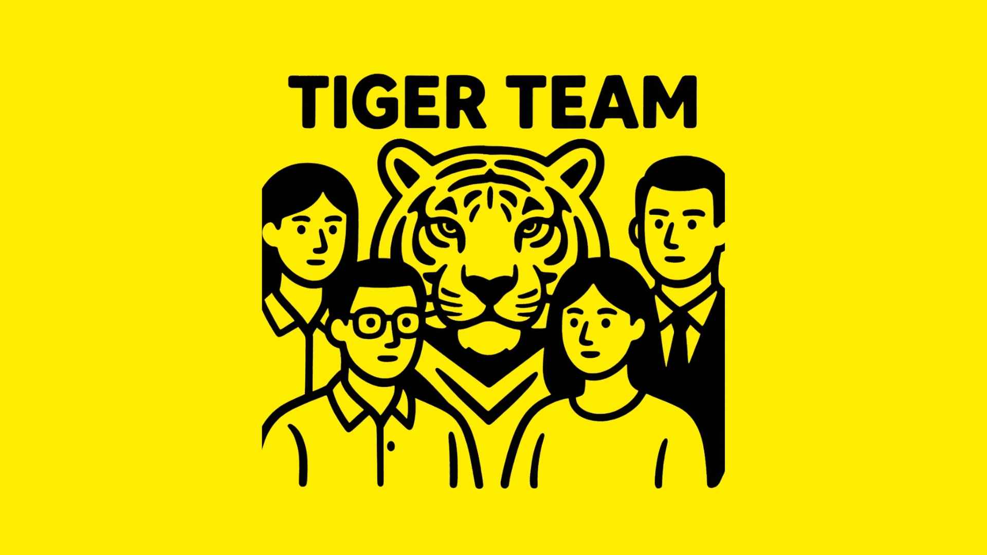 Tiger Team